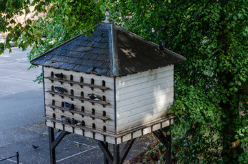 Large white pigeon loft
