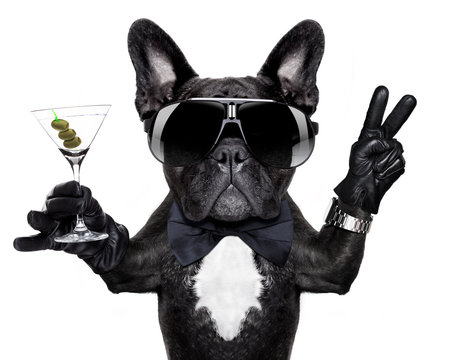 peace cocktail dog