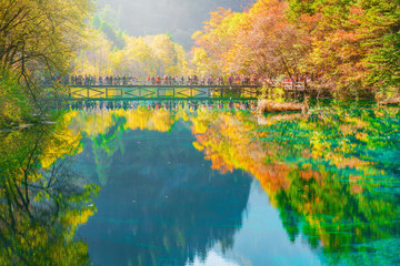 Trees by colorful lake at autumn day time.