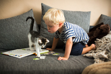 die Katze knutschen