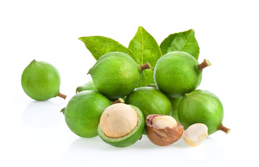macadamia nuts with leaf isolated on white background.