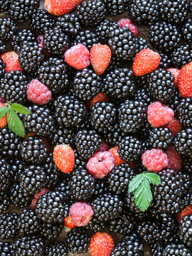 Juicy berries background