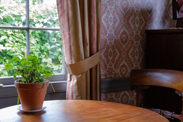 Interior of heritage country house with rustic window frame and geranium plant on wooden table - 217145928