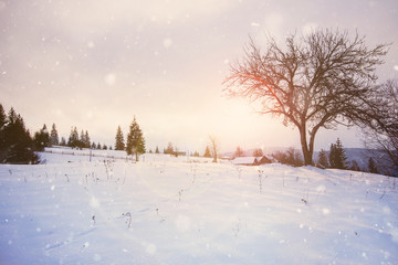 Beautiful winter landscape. Dramatic overcast snowy weather.