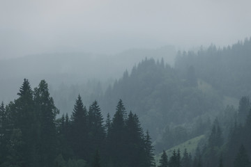Green mountain forest in cloudy and rainy dark moody weather