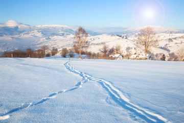 Beautiful winter nature landscape, amazing mountain view of sunset. Scenic image of snowy woodland.