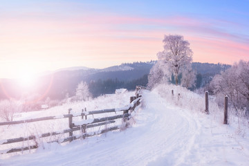 Wunderschöne Winternaturlandschaft, herrlicher Blick auf die Berge bei Sonnenuntergang. Szenisches Bild des schneebedeckten Waldes.