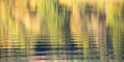 Grüne Wellen am See