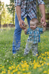 Fototapeta premium Baby boy holds his father's hands on the village meadow. Father is teaching his son how to walk.