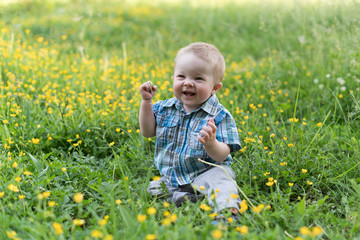 Happy baby boy is sitting on green grass on the flowers meadow in the village