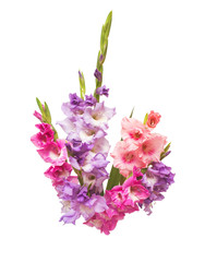 Beautiful bouquet pink fashionable gladiolus flower isolated on white background. Wedding bouquet of the bride