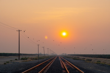 Fototapeta na wymiar train track desert sunset