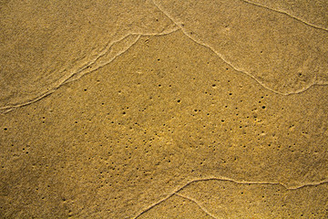 Fototapeta na wymiar Texture of fine yellow-brown wet river sand.