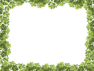 Obraz premium green leaf frame