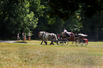 Fototapeta na wymiar Horse carriage running along the street. Prague. Czech.