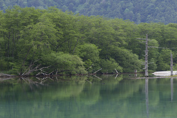 上高地大正池／長野県松本市
