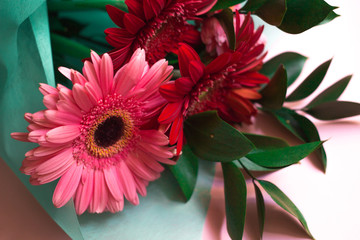 bouquet of pink and red gerberas on a pink pastel background