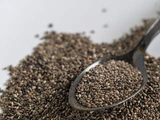 chia seed