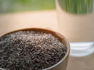 chia seed