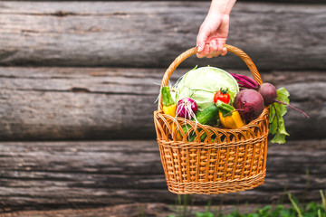 Fresh vegetables in a basket. Harvesting of vegetables. Autumn. Healthy diet. Copy space