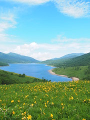 初夏の野反湖, Lake Nozori, Gumma Prefecture, Japan