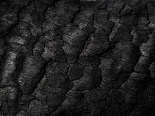Close up Surface of charcoal