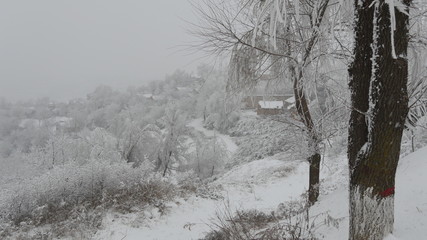 Nature sous la neige