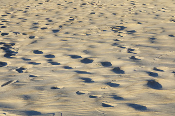 Sandy surface of Baltic sea beach