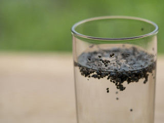 chia seed