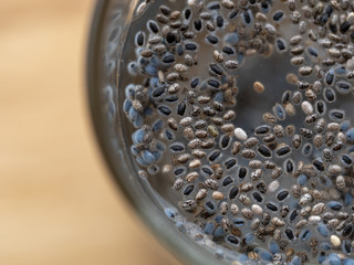 chia seed