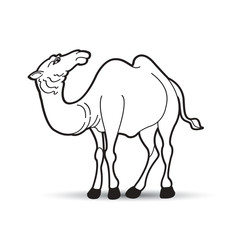 black outline camel standing on smooth shadaw vector drawing