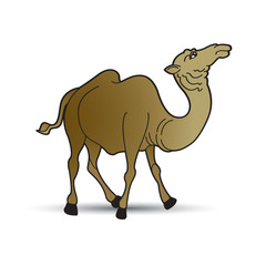 camel walking on smooth shadow vector drawing