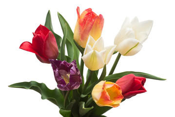 Bouquet of colorful and beautiful tulips flowers isolated on white background. Still life, wedding. Flat lay, top view