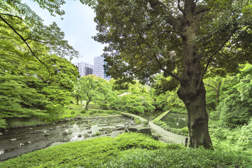 Landscape of the Koishikawa Korakuen Garden in Tokyo with the small Togetsu Bridge, Oi River and the Seiko Lake dam.