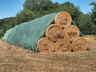 Strohrollen am Feldrand