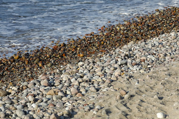 Water and Baltic sea beach