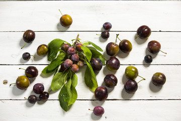 mehrere Zwetschken, Zwetschgen auf weissen Holztisch