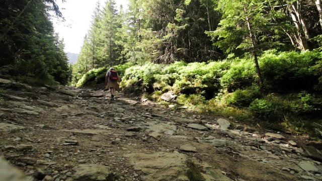 Traveler hiking a mountain
