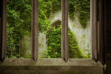 A beautiful details of an abandoned church in London. Ivy growth on building ruins. Beautiful,...
