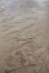 drawing in a seashore