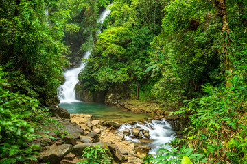 giant waterfall in deep forest with tree and stone