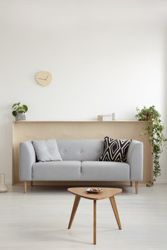 Grey sofa with two pillows in real photo of white living room interior with wooden box shelf with books and fresh plants