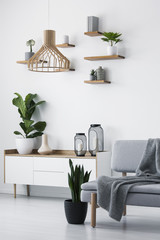 Wooden pendant light, simple shelves on a white wall and a plant on a scandinavian sideboard in a monochromatic living room interior