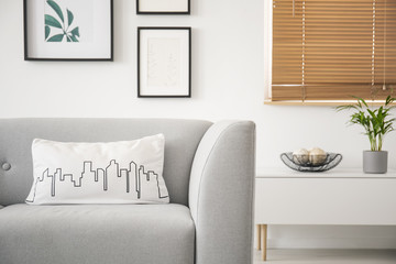 Pillow with a city outline graphic on a gray sofa and a blurry background of framed gallery on a white wall in a natural living room interior