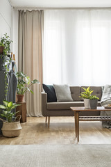 Real photo of a sofa with pillows and blanket standing behind a table in spacious living room interior with plants and rug