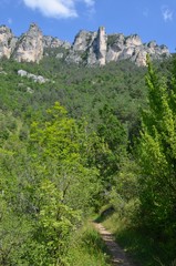 Fototapeta na wymiar Sentier de la vallée du Tarn (Tarn Canyon), France