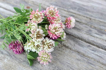 Wildflowers on the background of boards