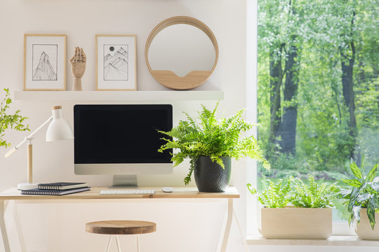 Close-up of a modern computer screen on a desk by the window in a white home office interior with wooden decorations and plants