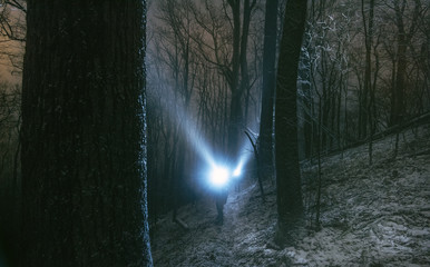 Photographers Tommy White and  Justin Costner explore an old growth hardwood forest in winter along China Creek, near Blowing Rock NC