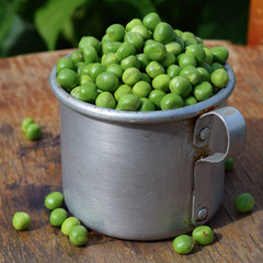 Aluminum mug with fresh green peas at summer